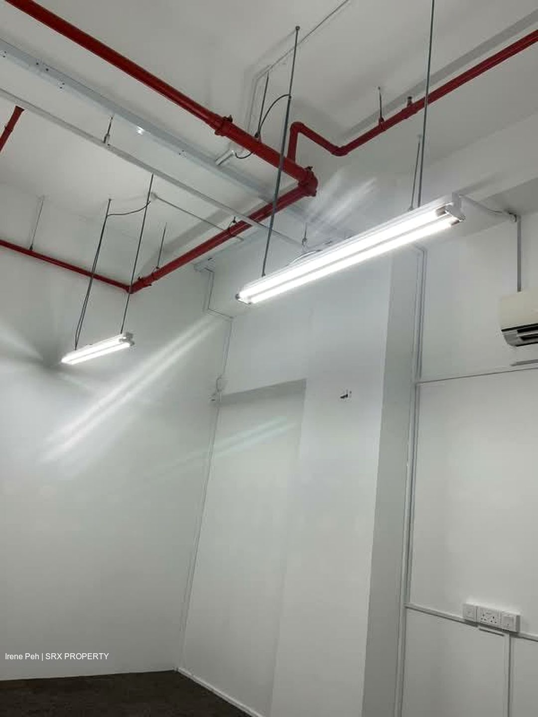 Primz Bizhub (D25), Factory #565241351